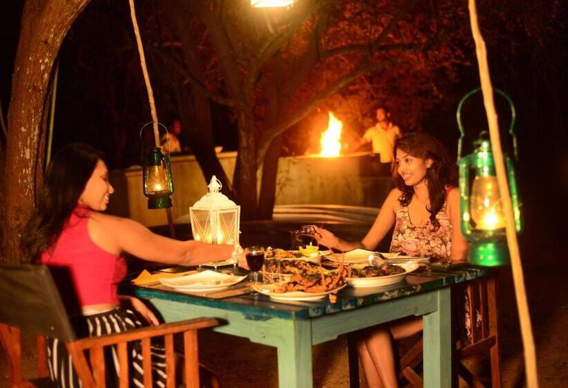 Back Of Beyond   Wellness Retreat