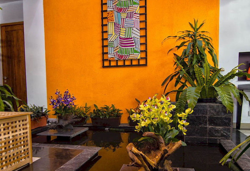 مبيت وإفطار Amali Residence