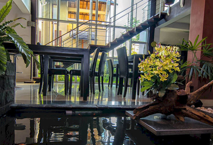 مبيت وإفطار Amali Residence