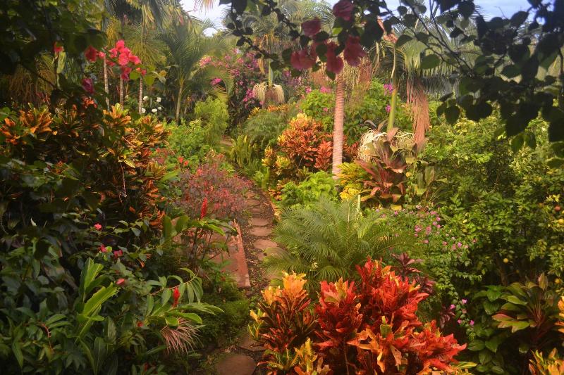 مبيت وإفطار Eden Atenas