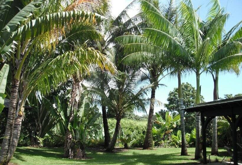 צימר Island Goode S   Luxury Adult Only Accommodation Near Hilo
