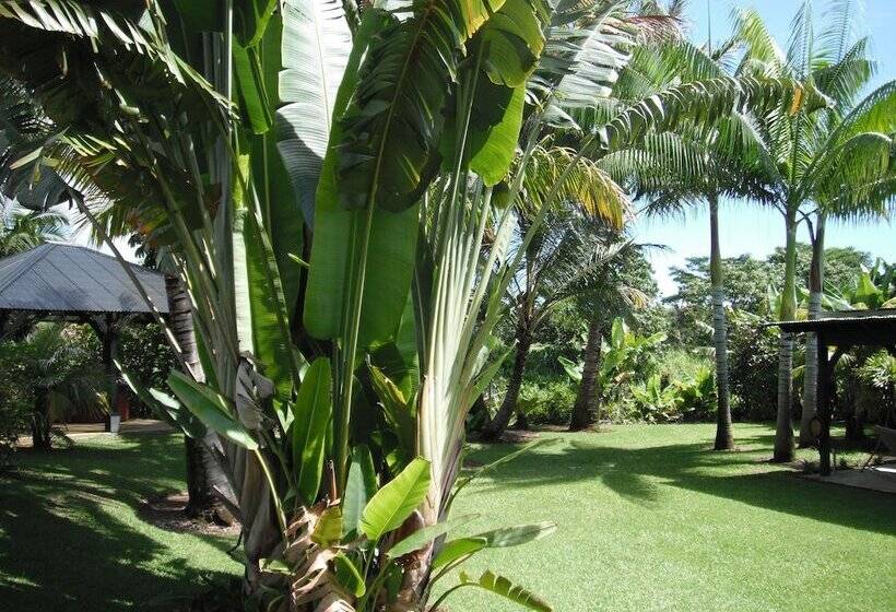 צימר Island Goode S   Luxury Adult Only Accommodation Near Hilo