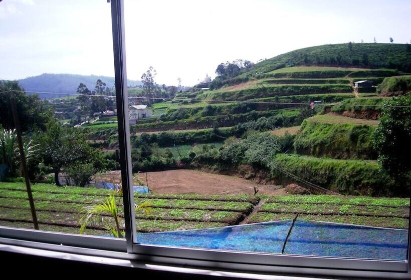 Bed and Breakfast Old English Colonial Bungalow