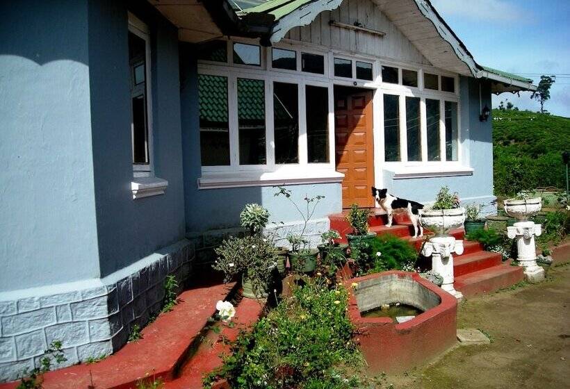 Bed and Breakfast Old English Colonial Bungalow