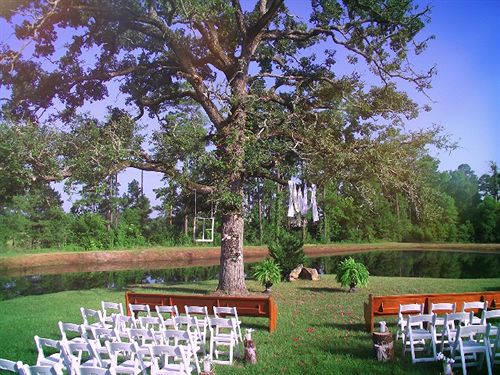 住宿加早餐  Texas Forest Country Retreat