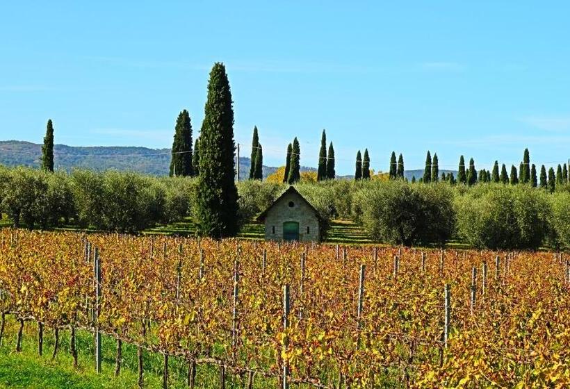 בית מלון כפרי Agriturismo La Sovana