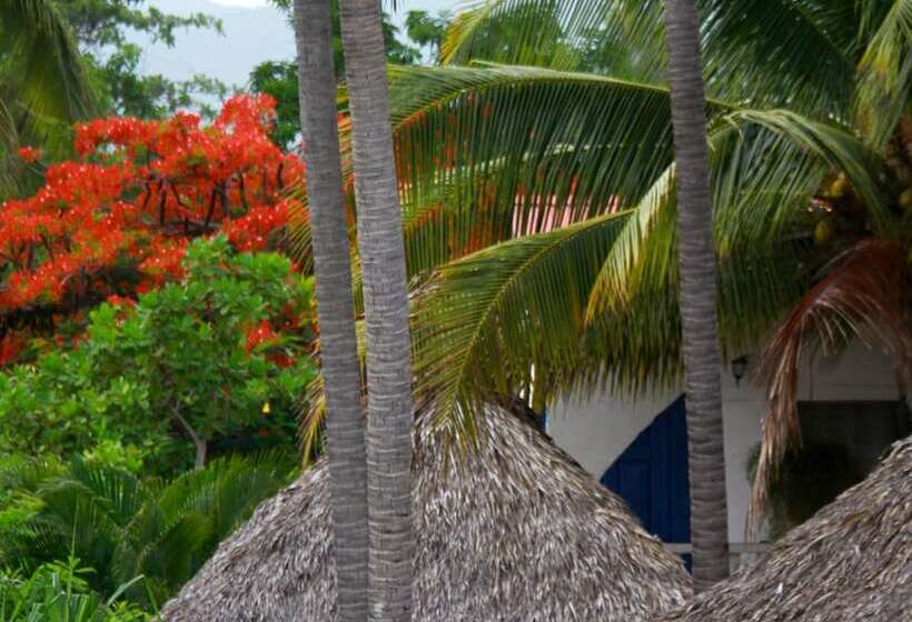 فندق Azul Surf Club