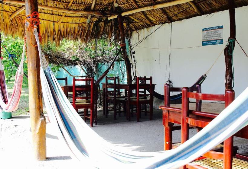 فندق Azul Surf Club