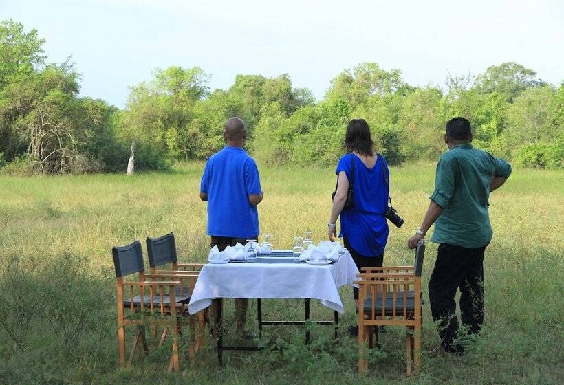 酒店 Big Game Wilpattu By Eco Team