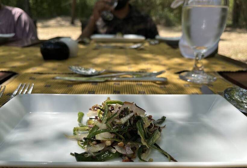 酒店 Big Game Wilpattu By Eco Team