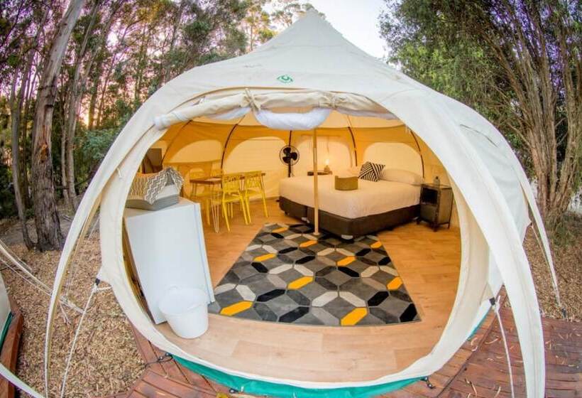 فندق Big4 Yarra Valley Park Lane Holiday Park