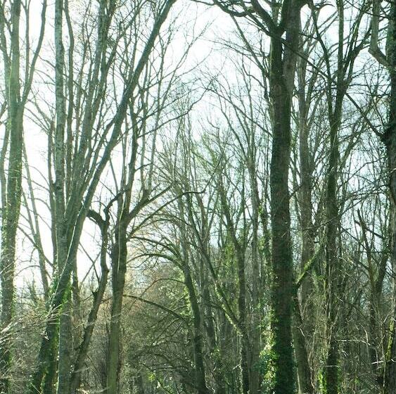 בית מלון כפרי Chateau De Briançon