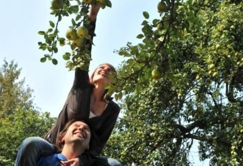 酒店 Château De La Motte