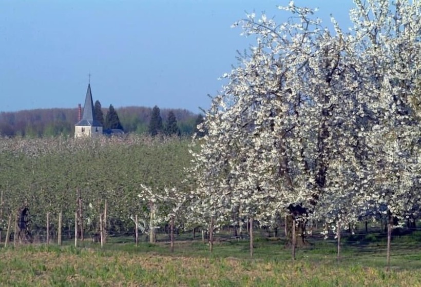 酒店 Château De La Motte