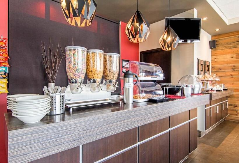 호텔 Econo Lodge Inn & Suites