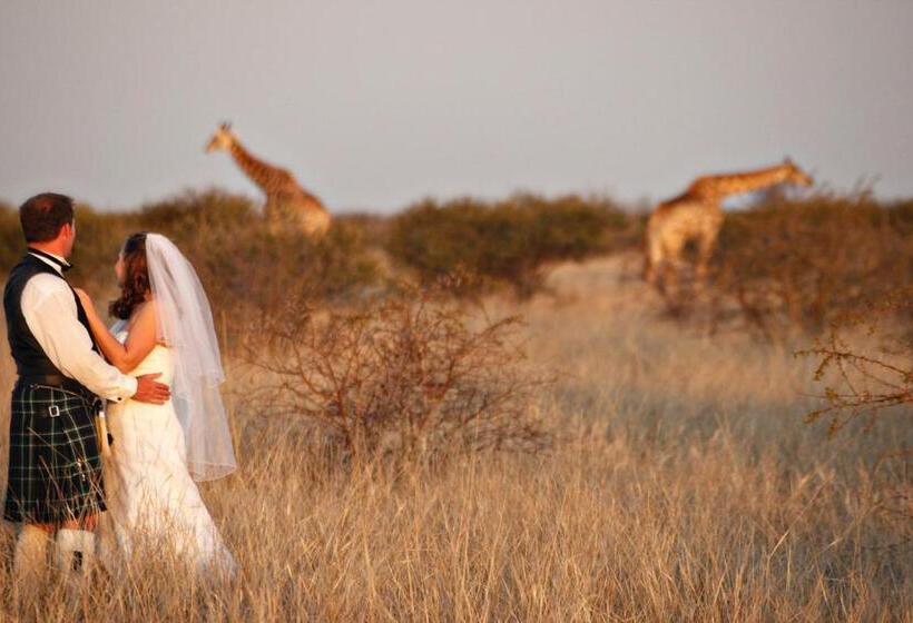 Отель Etali Safari Lodge