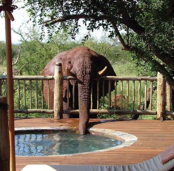 Отель Etali Safari Lodge