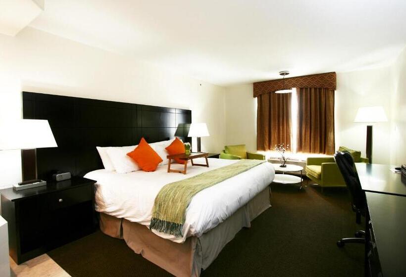 בית מלון כפרי Foxwood Inn & Suites Drayton Valley