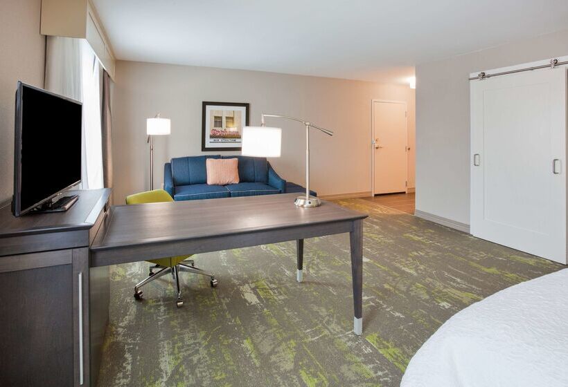 בית מלון כפרי Hampton Inn & Suites Sioux City South