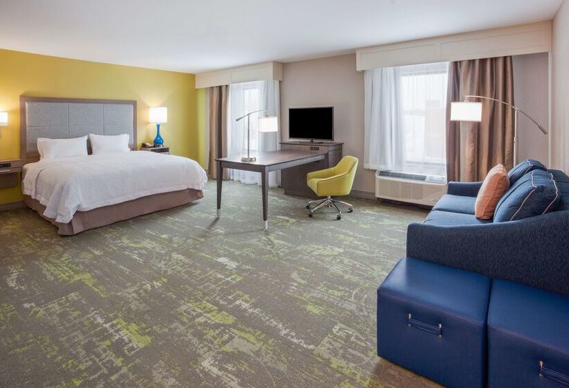 בית מלון כפרי Hampton Inn & Suites Sioux City South