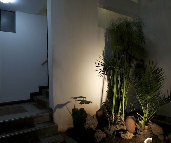 فندق Hostal Solar