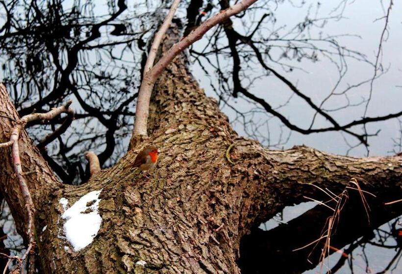 فندق Inn On The Lake