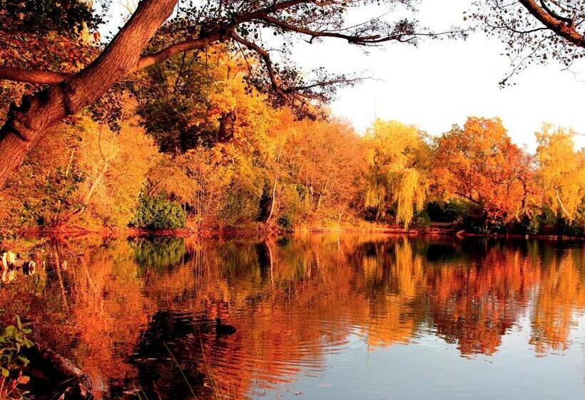 فندق Inn On The Lake