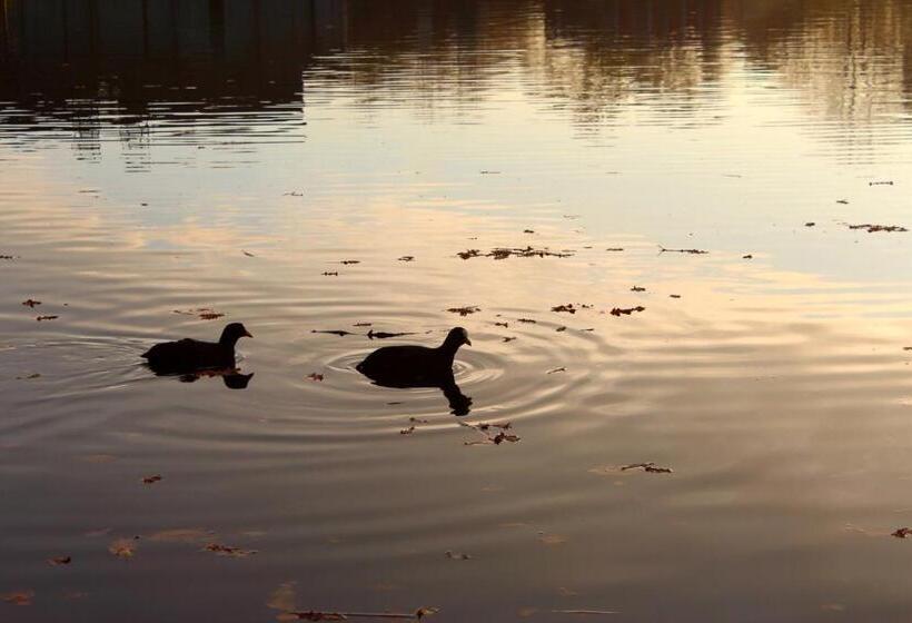فندق Inn On The Lake