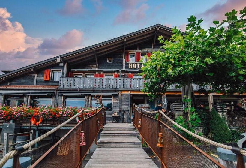 ホテル Kaiserstuhl