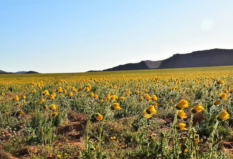 בית מלון כפרי Klein Aus Vista Desert Horse Inn