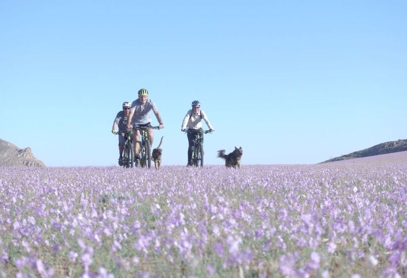 בית מלון כפרי Klein Aus Vista Desert Horse Inn