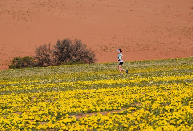 בית מלון כפרי Klein Aus Vista Desert Horse Inn