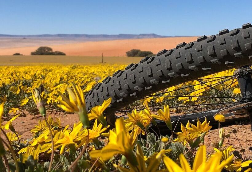 בית מלון כפרי Klein Aus Vista Desert Horse Inn