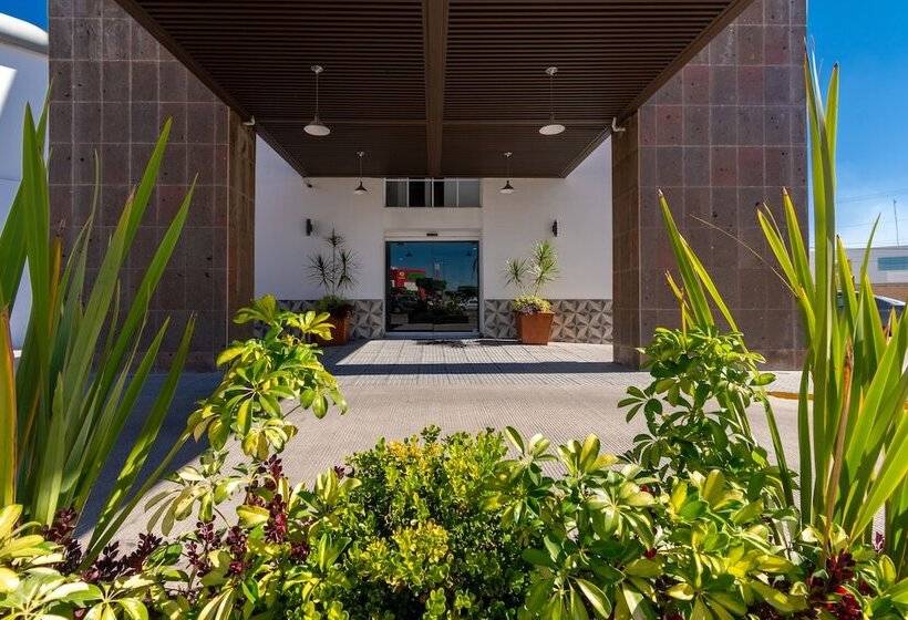 Отель Mexico Inn Express