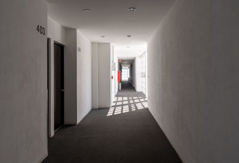 فندق Mexico Inn Express