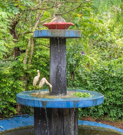 호텔 Nature Lanka Ayurveda Resort