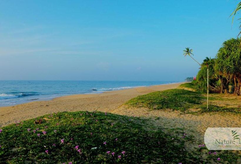 호텔 Nature Lanka Ayurveda Resort