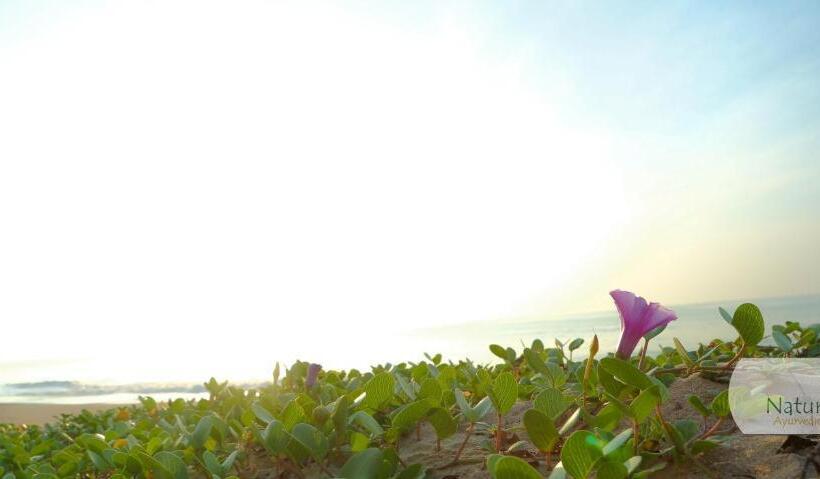 호텔 Nature Lanka Ayurveda Resort