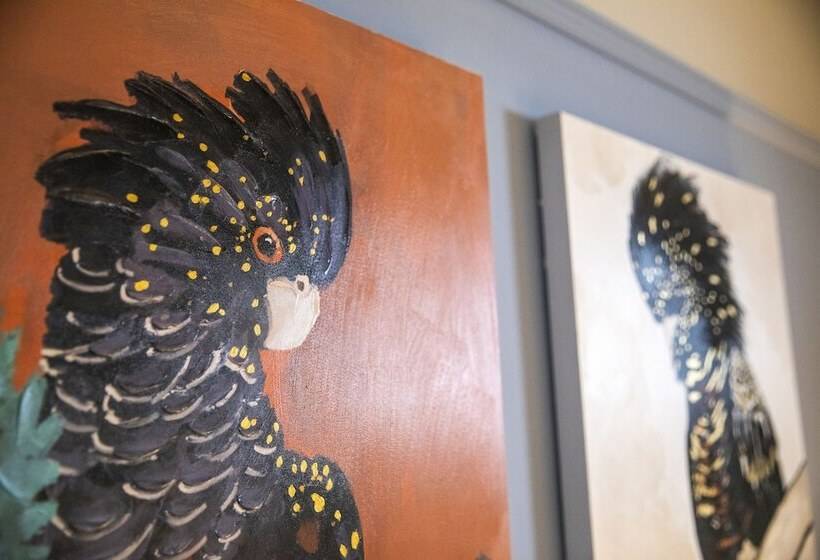 Nightcap At Federal Hotel Mt Gambier