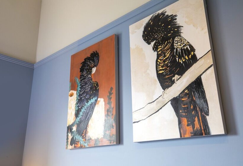 Nightcap At Federal Hotel Mt Gambier