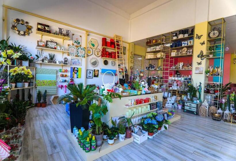 هتل Pamela Concept