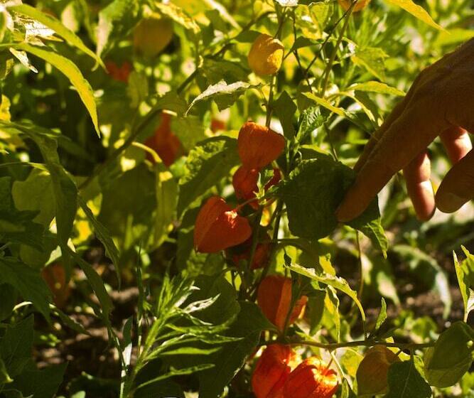 בית מלון כפרי Restaurant Du Parc En Bord De Rivière