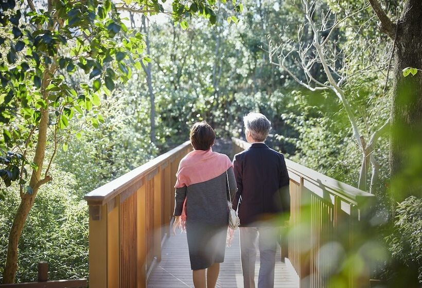 Shima Kanko Hotel The Bay Suites