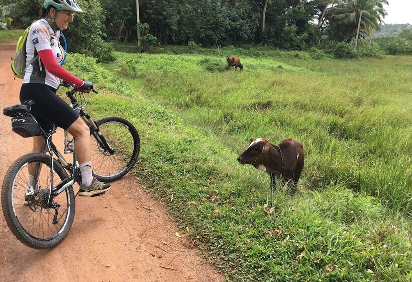 Отель Sri Sharavi Beach Villas & Spa