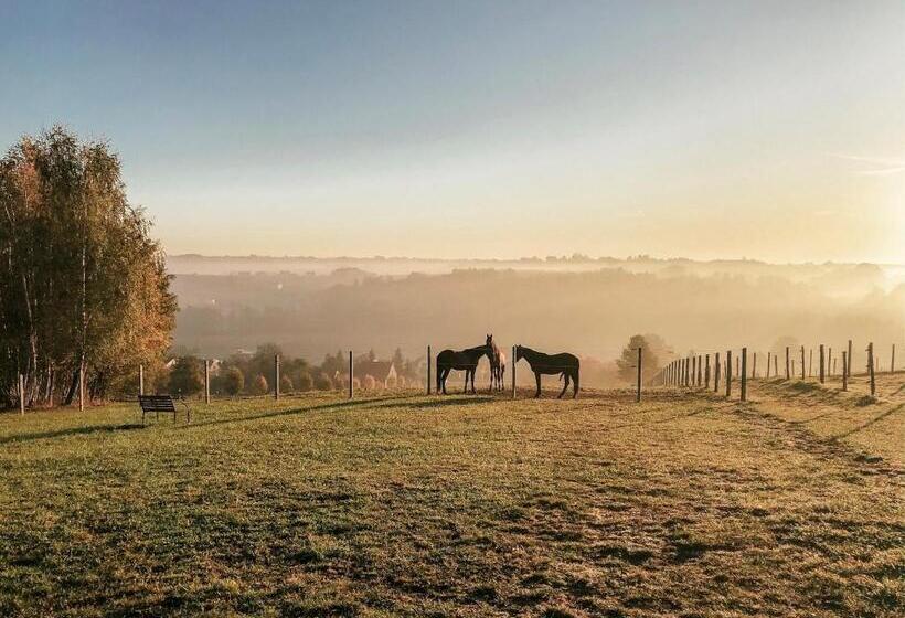 酒店 Szary Residence