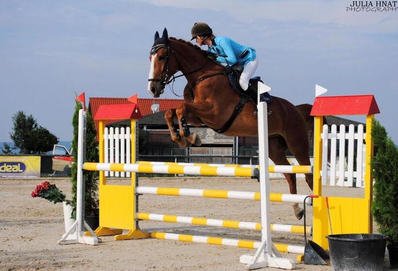 酒店 Szary Residence