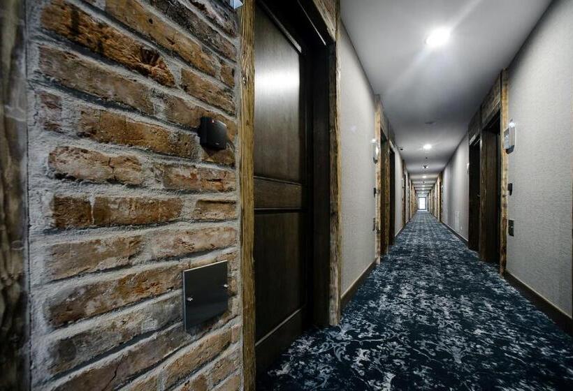 酒店 Szary Residence