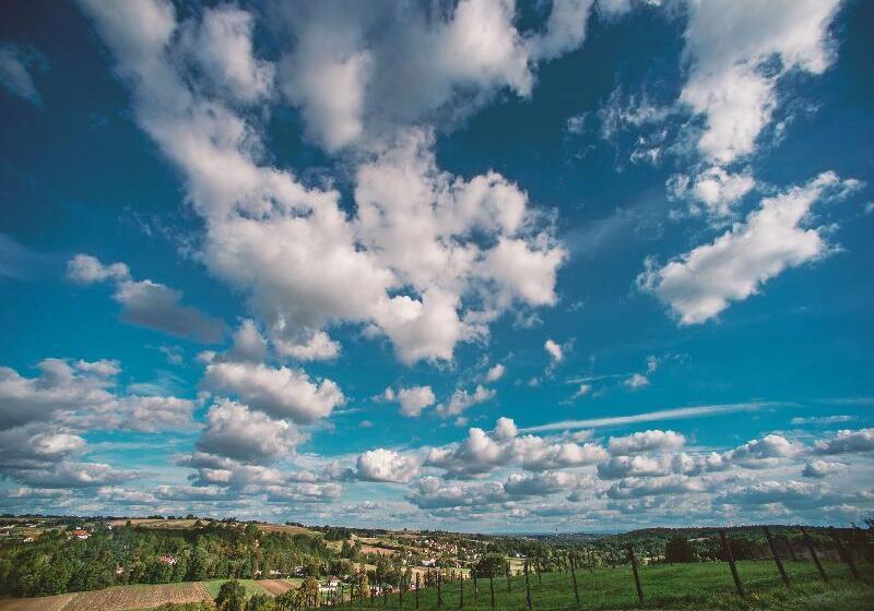 酒店 Szary Residence