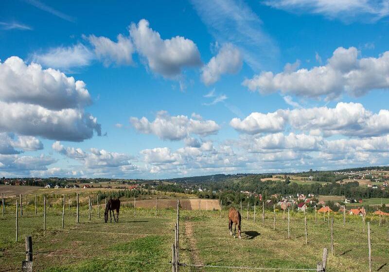 酒店 Szary Residence