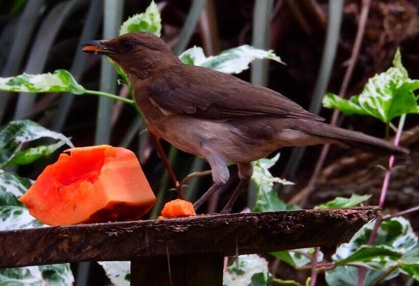 فندق Terra Barichara